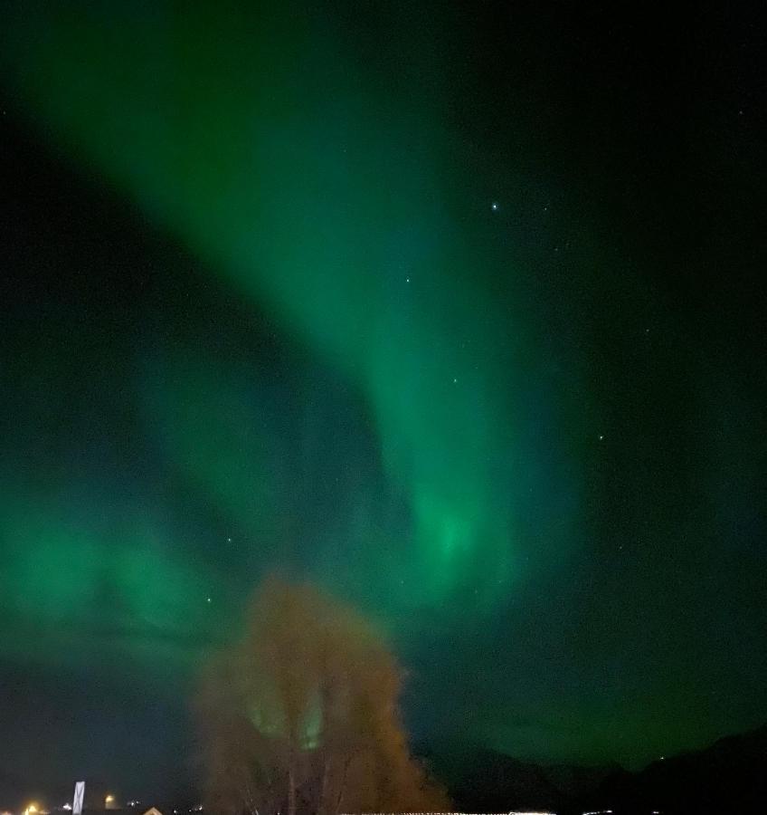 Lyngen, Mackay Appartment, Lyngen Lyngseidet Eksteriør billede