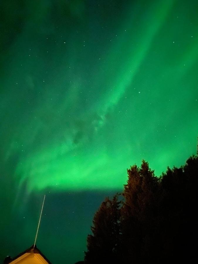 Lyngen, Mackay Appartment, Lyngen Lyngseidet Eksteriør billede