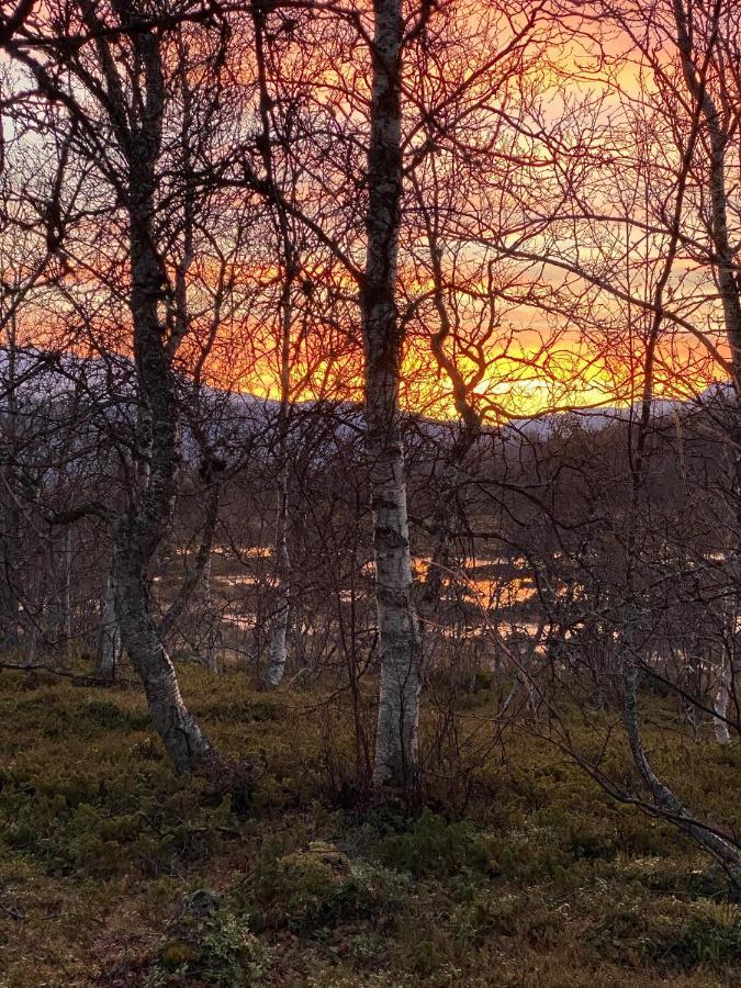 Lyngen, Mackay Appartment, Lyngen Lyngseidet Eksteriør billede