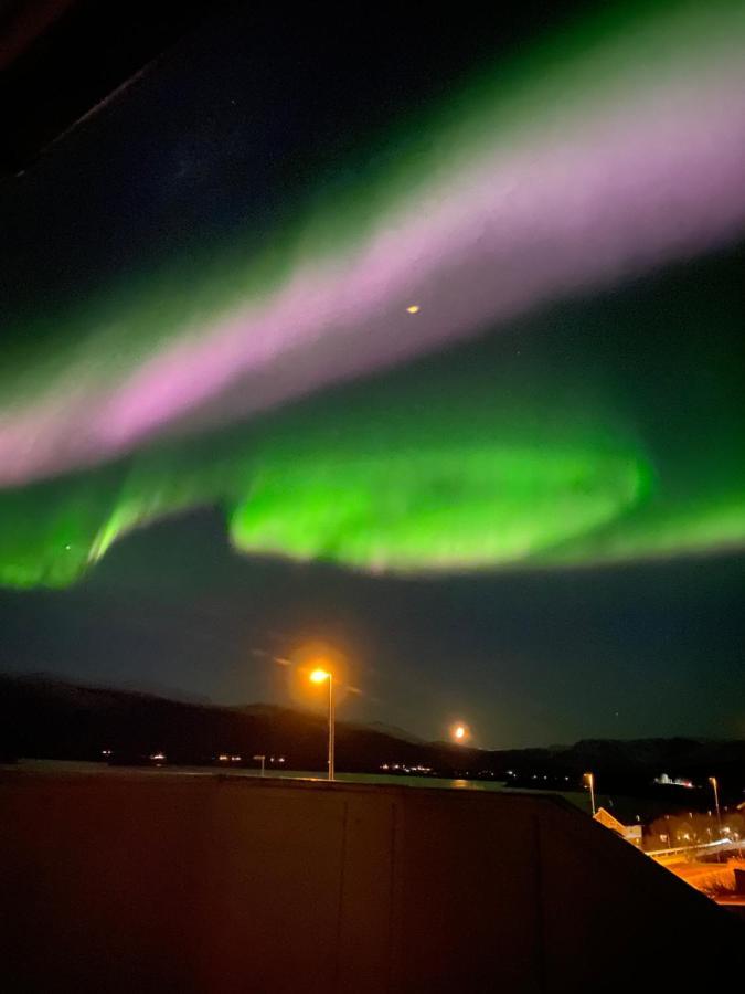 Lyngen, Mackay Appartment, Lyngen Lyngseidet Eksteriør billede