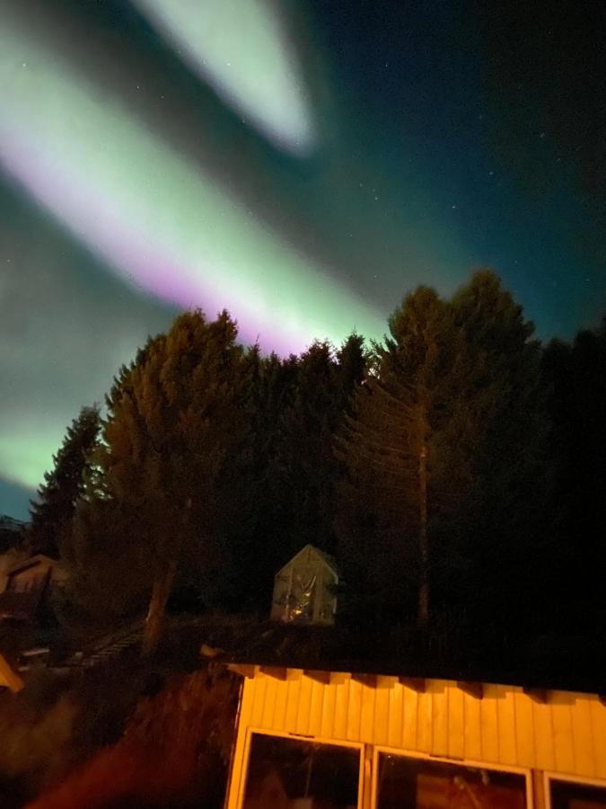 Lyngen, Mackay Appartment, Lyngen Lyngseidet Eksteriør billede